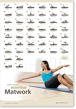 フィットネス サークル　STOTT PILATES 12インチ 楽天市場】ローテーショナルディスク 12インチ（ペア